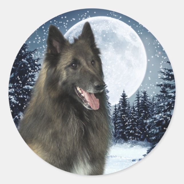 Belgische Tervuren Sticker (Vorderseite)