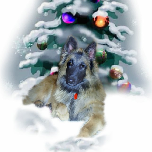 Belgische Tervuren Weihnachtsgeschenke Fotoskulptur Ornament (Vorne)