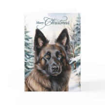 Belgische Tervuren Woodland Forest Frohe Weihnacht