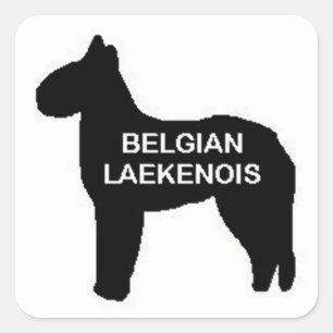 Belgischer Laekenoisname Silo Quadratischer Aufkleber