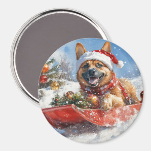 Belgischer Malinoi im Schlitten Lass es schneien W Magnet