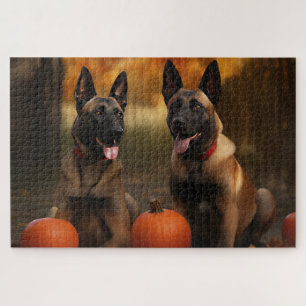 Belgischer Malinoi Welpe Herbstfreude Kürbis Puzzle