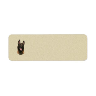 Belgischer Malinois