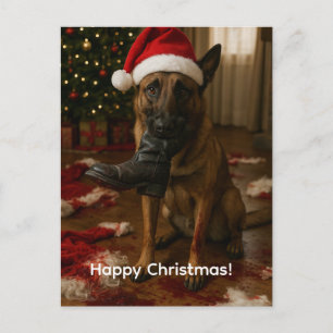 Belgischer Malinois hat Weihnachtsmann-Weihnachtsk Feiertagspostkarte