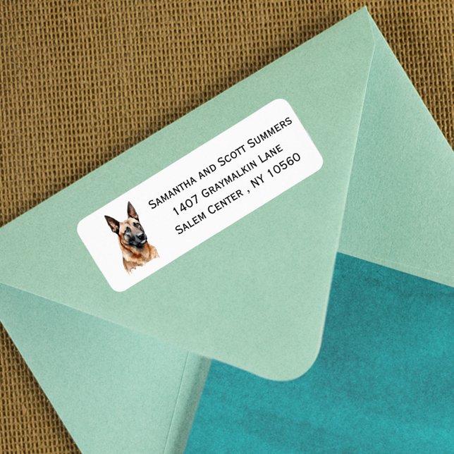 Belgischer Malinois-Hund (Von Creator hochgeladen)