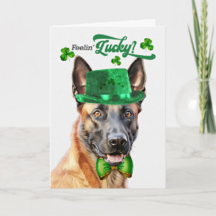 Belgischer Malinois Hund Glücklicher St. Patrick's Feiertagskarte