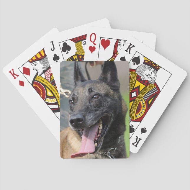 Belgischer Malinois-Hund lächeln Spielkarten (Rückseite)
