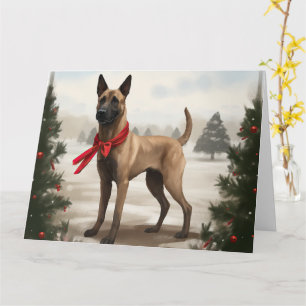Belgischer Malinois-Hund zu Schneeschweihnachtsfes Karte