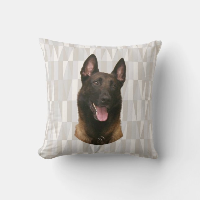Belgischer Malinois Kissen (Vorderseite)