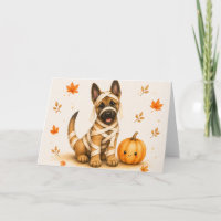 Belgischer Malinois-Mumie Halloween