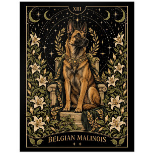 Belgischer Malinois, Sternen-Tarot-Kunst Postkarte