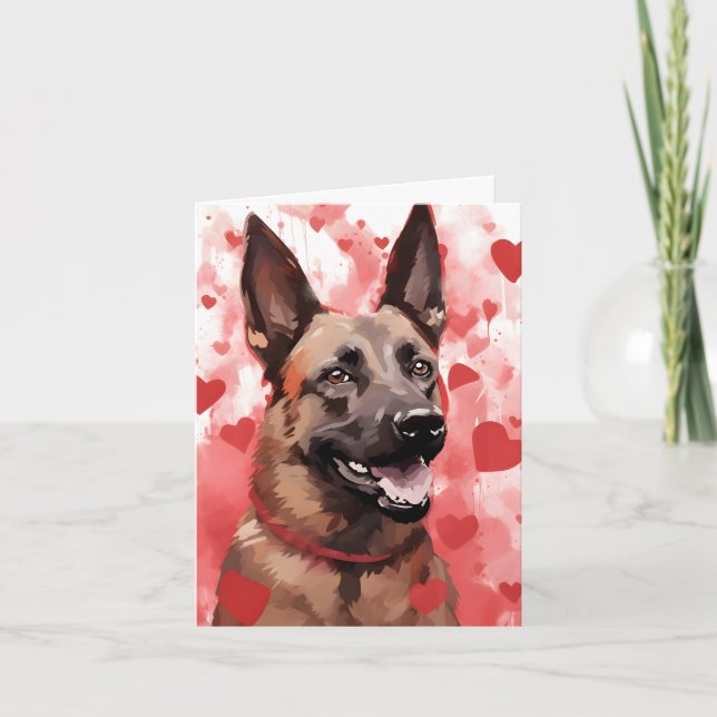 Belgischer Malinois-Valentinstag Karte (Vorderseite)