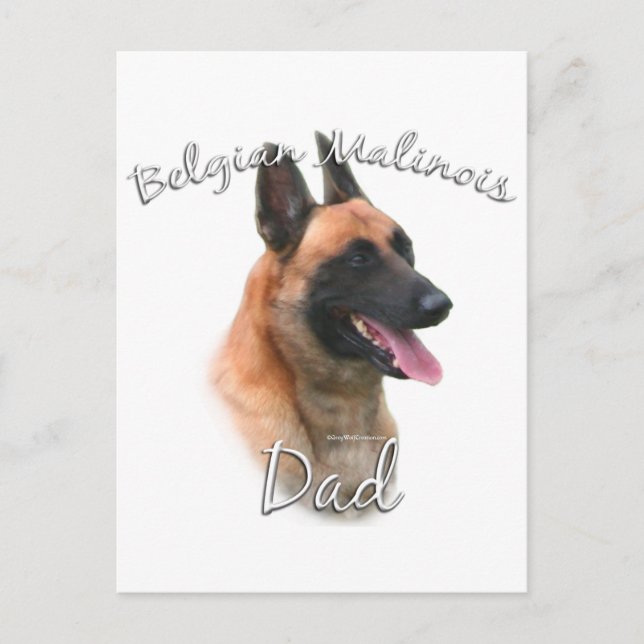 Belgischer Malinois-Vater 2 Postkarte (Vorderseite)