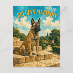 Belgischer Malinois, Vintage Wasserfarben-Hundekun Postkarte