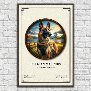 Belgischer Malinois Zoologie-Serie Poster