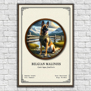 Belgischer Malinois Zoologie-Serie Poster