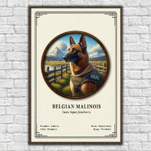 Belgischer Malinois Zoologie-Serie Poster