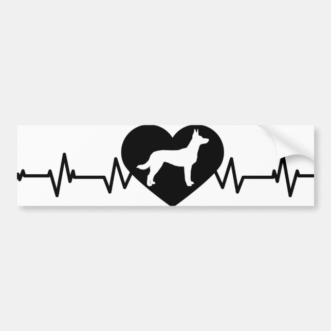Belgischer Schäfer - Malinois Autoaufkleber (Vorne)