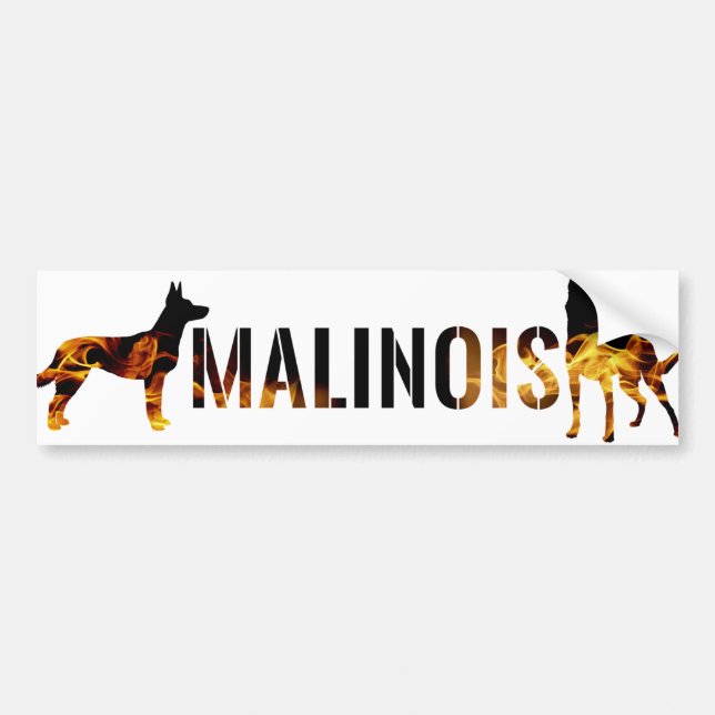 Belgischer Schäfer - Malinois Autoaufkleber (Vorne)