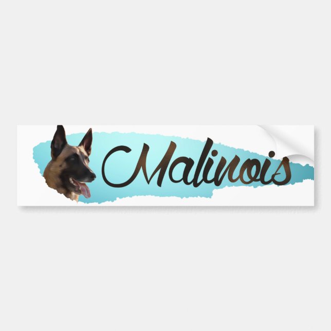 Belgischer Schäfer - Malinois Autoaufkleber (Vorne)
