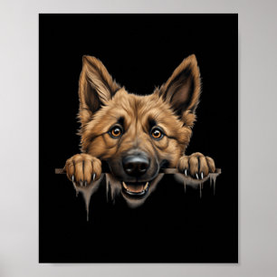 Belgischer Schäferhund Laekenois Hund Mutter Vater Poster