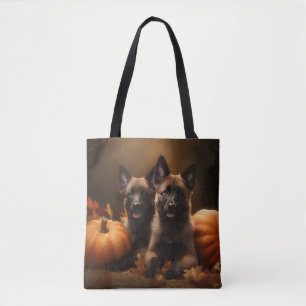 Belgischer Schäferhund-Welpe Herbstfreude Kürbis