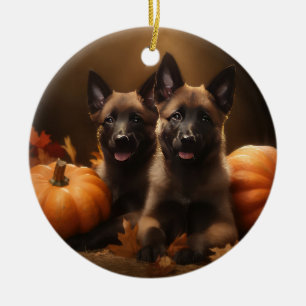 Belgischer Schäferhund-Welpe Herbstfreude Kürbis Keramik Ornament