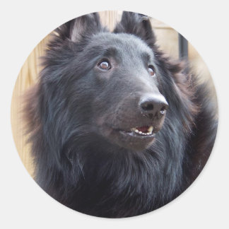 Belgischer Schafhund Runder Aufkleber