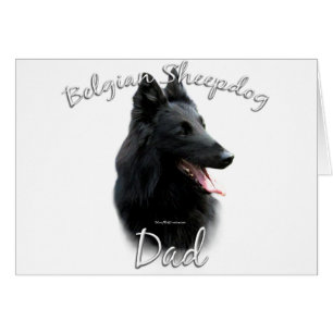 Belgischer Sheepdog-Vater 2