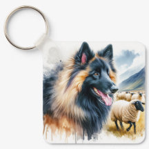 Belgischer Tervuren