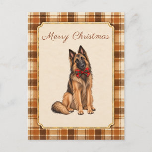 Belgischer Tervuren Winter-Tartan Postkarte