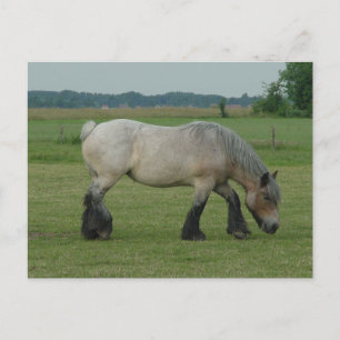 Belgischer Tiefgang auf Rosengräber Postkarte