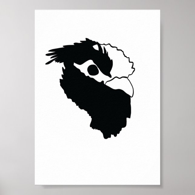 Belgischer Watermaal Poster (Vorne)