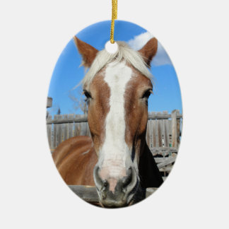 Belgisches Entwurfs-Pferd Keramikornament