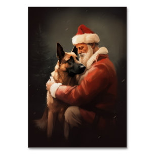 Belgisches Malinoi mit Weihnachtsfeiertag Tischnummer
