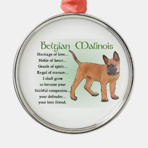 Belgisches Malinois-Erbe der Liebe Silbernes Ornament