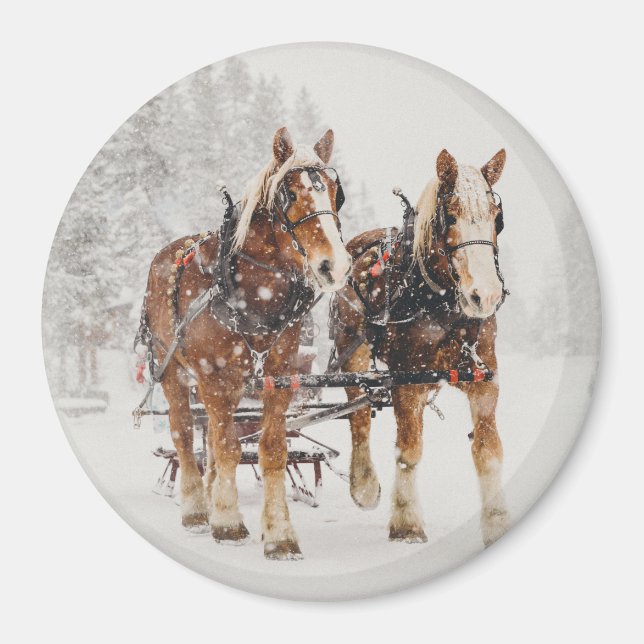 Belgisches Pferdeteam Wintery Weihnachtszene Magnet (Vorne)
