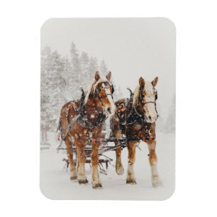 Belgisches Pferdeteam Wintery Weihnachtszene Magnet