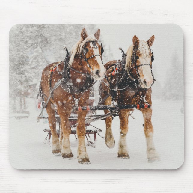 Belgisches Pferdeteam Wintery Weihnachtszene Mousepad (Vorne)