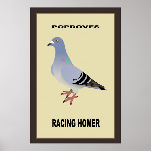Belgisches Racing Homer Poster (Vorne)