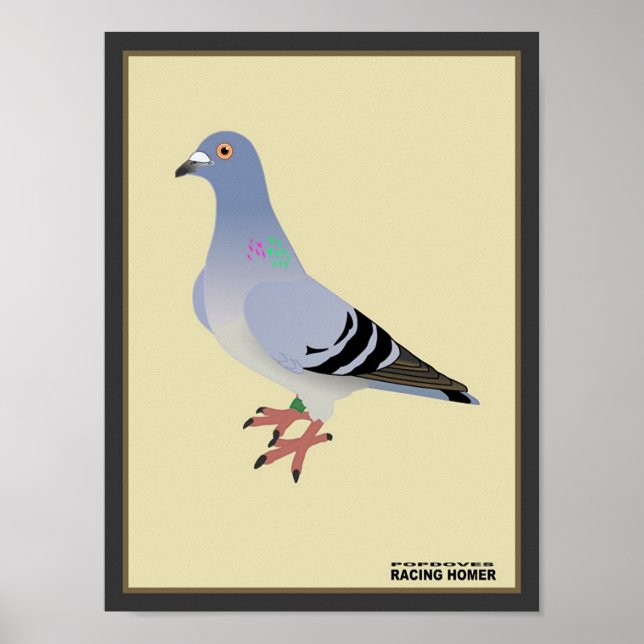Belgisches Racing Homer Print Poster (Vorne)