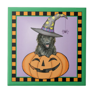 Belgisches Sheepdog Halloween Fliese