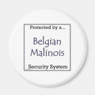 Belgisches Sicherheitssystem Malinois - Magnet