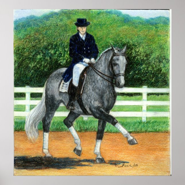 Belgisches Warmblut Dressage Horse Portrait Poster (Vorne)