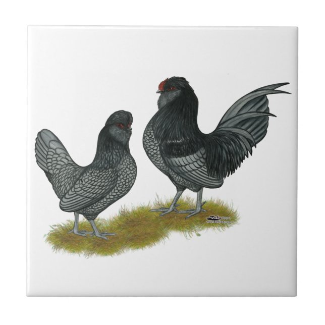 Belgisches Watermaal Bantams Fliese (Vorderseite)