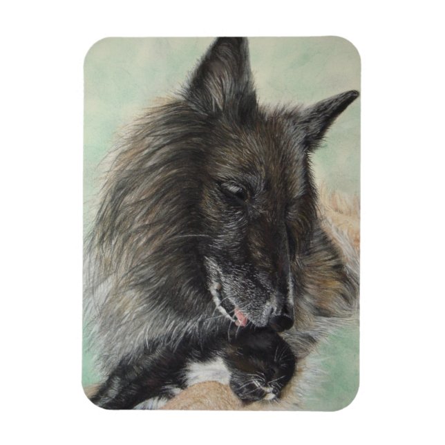 Belgiumshepherdin Magnet (Vertikal)