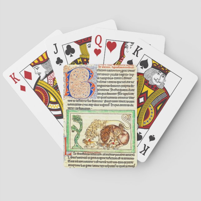 Belichtete Seite 1250 Spielkarten (Rückseite)