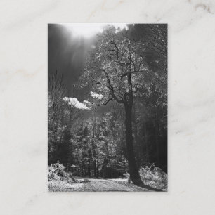 Belichtetes Baum ATC Visitenkarte