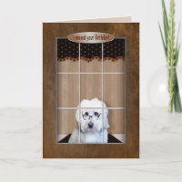 Beliebter Geburtstag - Goldenes Doodle - Fenster