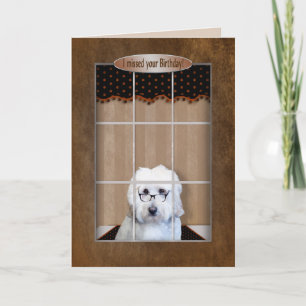 Beliebter Geburtstag - Goldenes Doodle - Fenster Karte